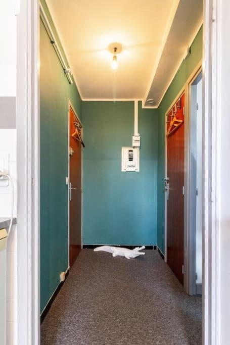 Double Appartement, Saint Michel, Parking, Wifi Toulouse Bagian luar foto